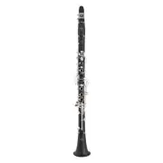 NEW Buffet Crampon BC2539-2-0G Bb Soprano PREMIUM Clarinet