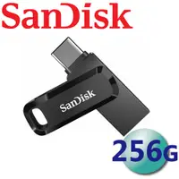 在飛比找蝦皮商城優惠-SanDisk 256GB Ultra Go USB Typ