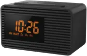 Panasonic Dual Alarm Clock Radio