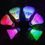 LED Shuttlecock Badminton Birdies, Shuttlecock Dark Night Goose Feather Glow ...
