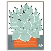 Artist Lane "MexiCan" by Kelly - 76x102cm Timber Framed Canvas