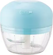 Electric Garlic Crusher Kitchen Chopper Blue Mini USB Rechargeable Household Blender 300ml for Ginger Chili Minced Meat Vegetable Onion Puree Baby Supplement
