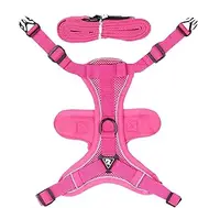 Escape Proof Cat Harness, Escape Proof Cat Harness, Walking Harness and Lead for Kittens, Cat Harness and Lead Set for Walks with Kittens and Puppies, Escape Proof Kitten