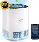 2025 Smart Air Purifier H13 HEPA Alexa Google 24dB for Pets Smoke Dust Home