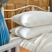 在飛比找momo購物網優惠-【La Belle】日本防蹣抗菌可水洗極致舒柔枕