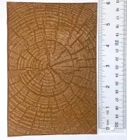5 TREE RINGS Embossed Card Fronts