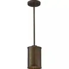 Nuvo Lighting 60/5892 Kettle Mini Pendant Weathered Brass