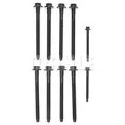 Austral Cylinder Head Bolt Set - HBFD40