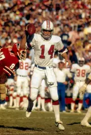 Quarterback Steve Grogan New England Patriots drops back to pass v- Old Photo