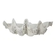Amalfi Rogue Seychelles Clam Vessel Antique White 52x28x18cm