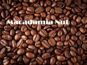 MACADAMIA NUT 1kg Artisan Small Batch Hand Roasted Organic Coffee Beans