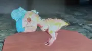 Ark Survival Ascended PVE Oviraptor Chibi Unleveled