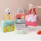 Portable Insulated Lunch Box Bags Insulated Thermal Lunch Box Food Bags