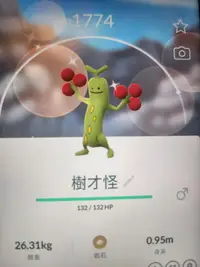 在飛比找露天拍賣優惠-【寶可夢獵人】Pokemon GO 寶可夢GO 樹才怪 異色