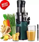 Electric Juicer Fruits Cold Press Squeezer Vegetable Processor Slow Masticating
