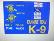 Michigan State Police K9 Vehicle Decals 1:64 two for one money