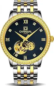 [carlien] Men Waterproof Stainless Steel Men Automatic Mechanical Watches Tourbillon Skeleton