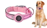 Waterproof Airtag Dog Collar Holder Anti-Lost Airtag Protective Cover For Pet Collar-Pink