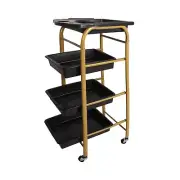 4 Layers Barber Storage Cart Hairdresser Trolley Cart On Wheels Organiser Gold