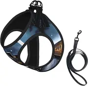 Winter Christmas Snow Night Railway Train print Dog Harness and Leash Set, Reflective Adjustable Puppy Vest for Small Medium Large Dogs, Cats