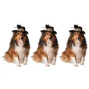 3x Rubies Happy New Year Party Pet Hat Dog/Cat Dress Up Costume Size M
