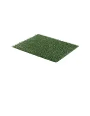 [Paw Mate] 1 Grass Mat 58.5cm x 46cm in Green