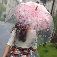 在飛比找Yahoo!奇摩拍賣優惠-日本櫻花傘韓國透明雨傘折疊小學生公主兒童女孩拱形小清新長柄傘