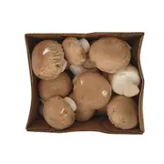 Organic Swiss Brown Mushrooms Pre-Pack – Fresh, healthy organic delivery | Doorstep Organics.