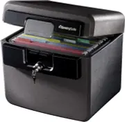 36.29cm (H) Sentrysafe Black Fireproof and Waterproof Safe, File Folder and Docu