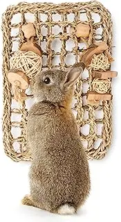andwe Seagrass Protector Mat with Toys for Rabbit Bunny Chinchilla Guinea Pigs or Other Rodent Pets (11 X 7.87-inch)