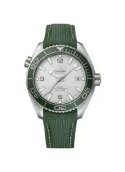 Omega Seamaster Planet Ocean Grey dial 43.5 mm 215.32.44.21.06.001