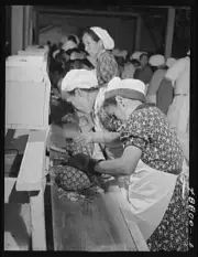 Pineapple Canning Factory,Bayamon,Puerto Rico,Farm Security Administration