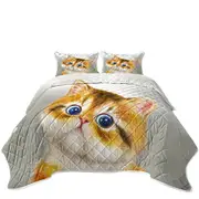 Blue Eyes Ginger Kitten Cat Coverlet
