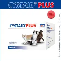 在飛比找Yahoo!奇摩拍賣優惠-CYSTAID PLUS利尿通-貓用加強版[膠囊] 30粒/