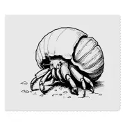 2 x 'Hermit Crab Crawling On Beach' Lens Cleaning Cloths (LC00026585)