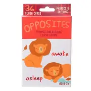 Phonics And Reading Flash Cards By Bendon (Opposites) (Ages 3+)