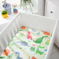 在飛比找momo購物網優惠-【BOREII】全新二代-防水透氣純棉嬰兒床單-二款花色(防