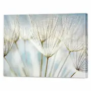 Make A Wish | 75 x 60cm Stretched Canvas Print