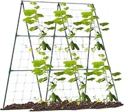Cucumber Trellis for Raised Bed - Trellis,Expandable Metal Support Growing Supplies for Flower Grape Bean Cucumber Growth for Gardens Backyards
