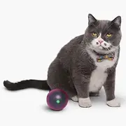 Pidan Pet Toy Electronic Dodgeball for Cat, (PD3703P2)