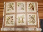 Cyrus Clark Screen Print Teflon Coated Fabric 5+ Yds 42 Panels "Wise Ol' Owls"