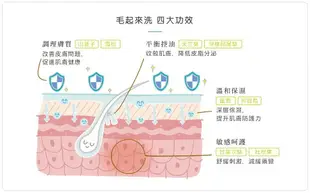 Maoup 毛起來 癢癢退散洗毛精 汪汪專用 寵物專用沐浴乳 低敏洗毛精 天然草本 溫和清潔 舒緩搔癢 改善體味 | 艾爾發寵物