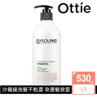 在飛比找momo購物網優惠-【OTTIE】專業沙龍角蛋白護髮洗髮精530ml(沙龍級專用