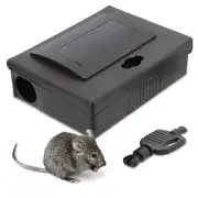 Ruralty Easy Set Mouse Trap - Plastic Multi Catch and Release Reusable Mouse ...