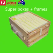 Auto Bee Hives Super Bee Box Beekeeping Hives + 7 Plastic Beekeeping Frames Food