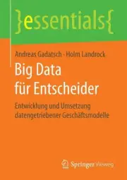 Big Data fr Entscheider: Entwicklung und Umsetzung datengetriebener Gesch?ftsmod
