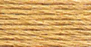 DMC 6-Strand Embroidery Cotton 100g Cone Tan Light