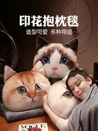 在飛比找松果購物優惠-貓咪造型抱枕毯子二合一抱枕車上被子午睡毯靠枕 (3.8折)