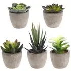Simulated Succulent Plant Bonsai Mini Imitation Potted Artificial Plants