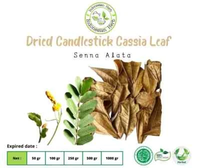 Dried Candlestick Cassia Leaf Dry Senna Alata Organic Herb Spice Fresh Pure